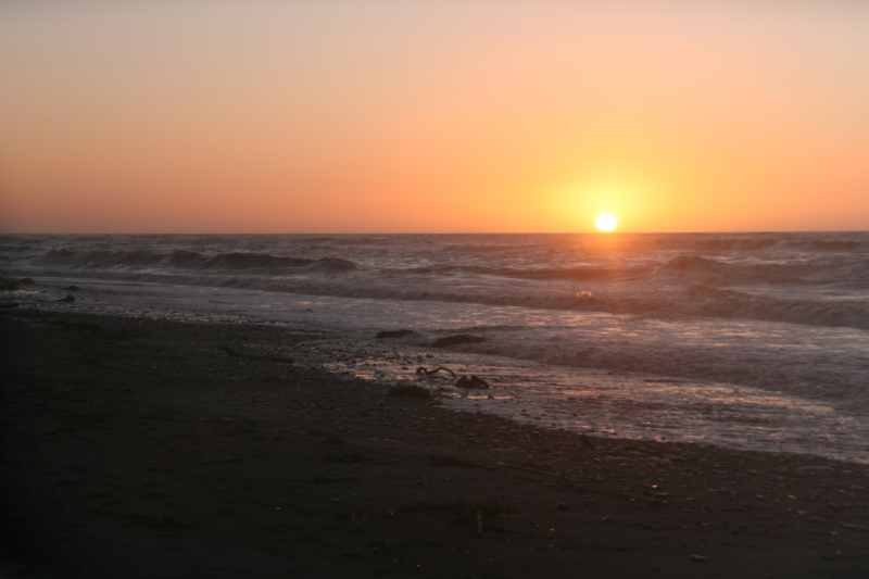 Nieuw-Zeeland 2011 - 1373